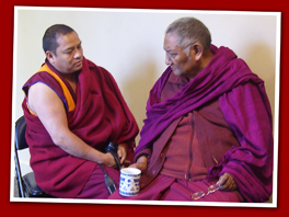 gg n kr